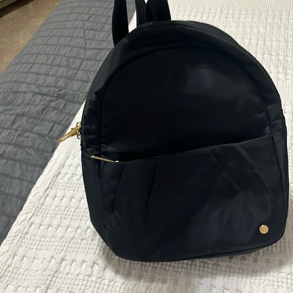 PAC SAFE travel backpack.   This backpack is high quality and anti theft.